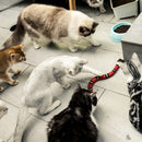 Smart Sensing Interactive Cat Toys Automatic Eletronic Snake Cat Teasering Play USB Rechargeable Kitten Toys for Cats Dogs Pet