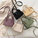 2022 Crocodile Pattern PU Leather Crossbody Bags For Women Chain Female Shoulder Handbags Mini Purses Travel Cross Body Bag