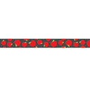 APPLES BORDER-Learning Materials-JadeMoghul Inc.
