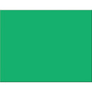 Arts & Crafts Poster Board 25 Sheet Holiday Green PACON CORPORATION
