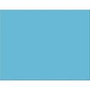 Arts & Crafts Poster Board 25 Sheet Light Blue PACON CORPORATION