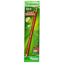 Ticonderoga Erasable 12 Ct Colored