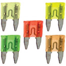 ATM Mini Fuses, 25 pk (5 Amps)-Circuit Protection-JadeMoghul Inc.