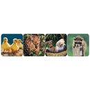 BABY ANIMALS REAL PHOTOS THEME-Learning Materials-JadeMoghul Inc.