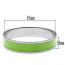 Pandora Bangle TK531 Stainless Steel Bangle with Epoxy in Emerald