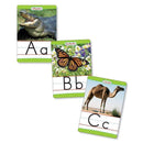 Bb Set Animals From A To Z Manuscript Alphabet Set-General-JadeMoghul Inc.