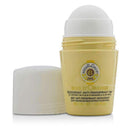 Bois d' Orange 48H Anti Perspirant Deodorant Roll On - 50ml-1.6oz-Fragrances For Women-JadeMoghul Inc.