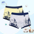Boys 2 Pcs Soft Organic Cotton Printed Boxer Shorts-N03 GY-4T-JadeMoghul Inc.