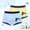 Boys 2 Pcs Soft Organic Cotton Printed Boxer Shorts-N07 BY-4T-JadeMoghul Inc.
