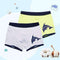 Boys 2 Pcs Soft Organic Cotton Printed Boxer Shorts-N07 GG-4T-JadeMoghul Inc.