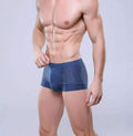 Breathable Boxer / Men Underwear-Blue-L-JadeMoghul Inc.