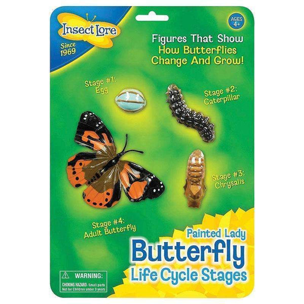 BUTTERFLY LIFE CYCLE STAGES-Toys & Games-JadeMoghul Inc.