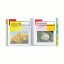 C-LINE 10 POCKET PORTFOLIOS WITH-Supplies-JadeMoghul Inc.
