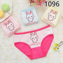 Calcinha Infantil 6pcs/lot Baby Girl Underwear Kids Panties Child's For Underpants Shorts For Nurseries Children's Briefs B1082-1096-3T-JadeMoghul Inc.