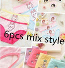 Calcinha Infantil 6pcs/lot Baby Girl Underwear Kids Panties Child's For Underpants Shorts For Nurseries Children's Briefs B1082-6pcs mix-3T-JadeMoghul Inc.