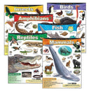 CHART EXPLORING SERIES GR 1-5-Learning Materials-JadeMoghul Inc.
