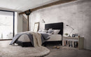 Contemporary Style Elegant Queen Size Panel Bed, Black-Panel Beds-Black-PU PB Foam-JadeMoghul Inc.