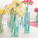 Decorating Glass Bottle Set - Oasis Blue (Pack of 1)-Ceremony Decorations-JadeMoghul Inc.