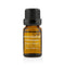 Essential Oil - Peppermint - 10ml-0.34oz-All Skincare-JadeMoghul Inc.