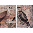 Exotic Birds Prints - Set Of 2-Fine Art Prints-Multi Color-Wood-JadeMoghul Inc.