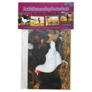 FARM ANIMAL POSTER SET SET OF 10-Learning Materials-JadeMoghul Inc.