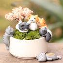 Fashion 1 Set / 6pcs Cartoon Cat Micro Landscape Garden Decorations Miniature Craft Home Decor Gift for Children--JadeMoghul Inc.