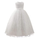 Fashion Clothing Sleeveless Tulle Embroidered Lace Waisted Elegant Latest Dress Designs Long Evening Formal Dress TIY