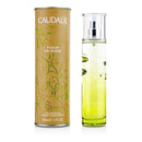 Fleur De Vigne-Fragrances For Women-JadeMoghul Inc.