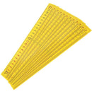 FLEXIBLE METER STICK SET OF 12-Toys & Games-JadeMoghul Inc.