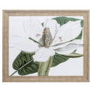 Frames Big Picture Frames - 31" X 26" Champagne Color Frame Curtis Magnolia II HomeRoots