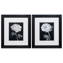 Frames Black Picture Frames 16" X 18" Black Frame Black White Flowers (Set of 2) 5241 HomeRoots