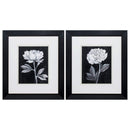 Frames Black Picture Frames 16" X 18" Black Frame Black White Flowers (Set of 2) 5242 HomeRoots