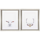 Frames Cheap Picture Frames - 19" X 22" Brushed Silver Frame Goat Deer (Set of 2) HomeRoots
