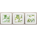 Frames Picture Frame Ideas - 19" X 19" Metallic Bronze Frame Hunt & Gather (Set of 3) HomeRoots