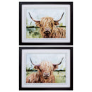 Frames Picture Frame Ideas - 32" X 26" Brown Frame Highland Grazer (Set of 2) HomeRoots