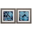 Frames Square Picture Frames 19" X 19" Distressed Wood Toned Frame Marine Shells (Set of 2) 5311 HomeRoots