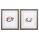 Frames Vintage Picture Frames 19" X 22" Distressed Wood Toned Frame Bird Life (Set of 2) 5356 HomeRoots