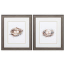 Frames Vintage Picture Frames 19" X 22" Distressed Wood Toned Frame Bird Life (Set of 2) 5356 HomeRoots