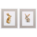 Frames White Collage Picture Frames - 17" X 20" Matte White Frame Meadow Buddy (Set of 2) HomeRoots