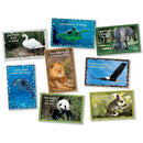 GOD OUR CREATOR POSTER SET-Learning Materials-JadeMoghul Inc.