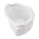 Home Decor Decoration - 5.3" X 4.3" X 2.8" Lovely White Crown Shell Sculpture HomeRoots