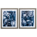 Home Decor Decorative Picture Frames - 21" X 25" Woodtoned Frame Moon Jellies (Set of 2) HomeRoots