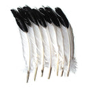 IMITATION EAGLE FEATHERS-Arts & Crafts-JadeMoghul Inc.