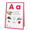 LEARNING FLIP CHARTS ALPHABET-Learning Materials-JadeMoghul Inc.