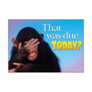 Learning Materials Poster That Was Due Today Argus TREND ENTERPRISES INC.