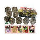 LETS INVESTIGATE FARMYARD FOOTPRINT-Supplies-JadeMoghul Inc.