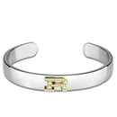 Charm Bangle LO3628 Reverse Two-Tone White Metal Bangle with Crystal