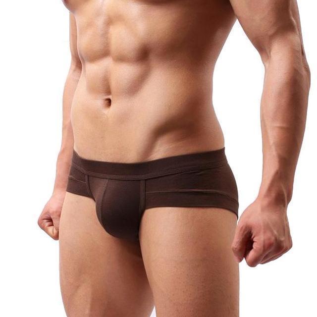 Men Briefs / Low Waist Underwear-brown-XXL-JadeMoghul Inc.