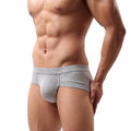 Men Briefs / Low Waist Underwear-gray-XXL-JadeMoghul Inc.