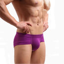 Men Briefs / Low Waist Underwear-purple-XL-JadeMoghul Inc.
